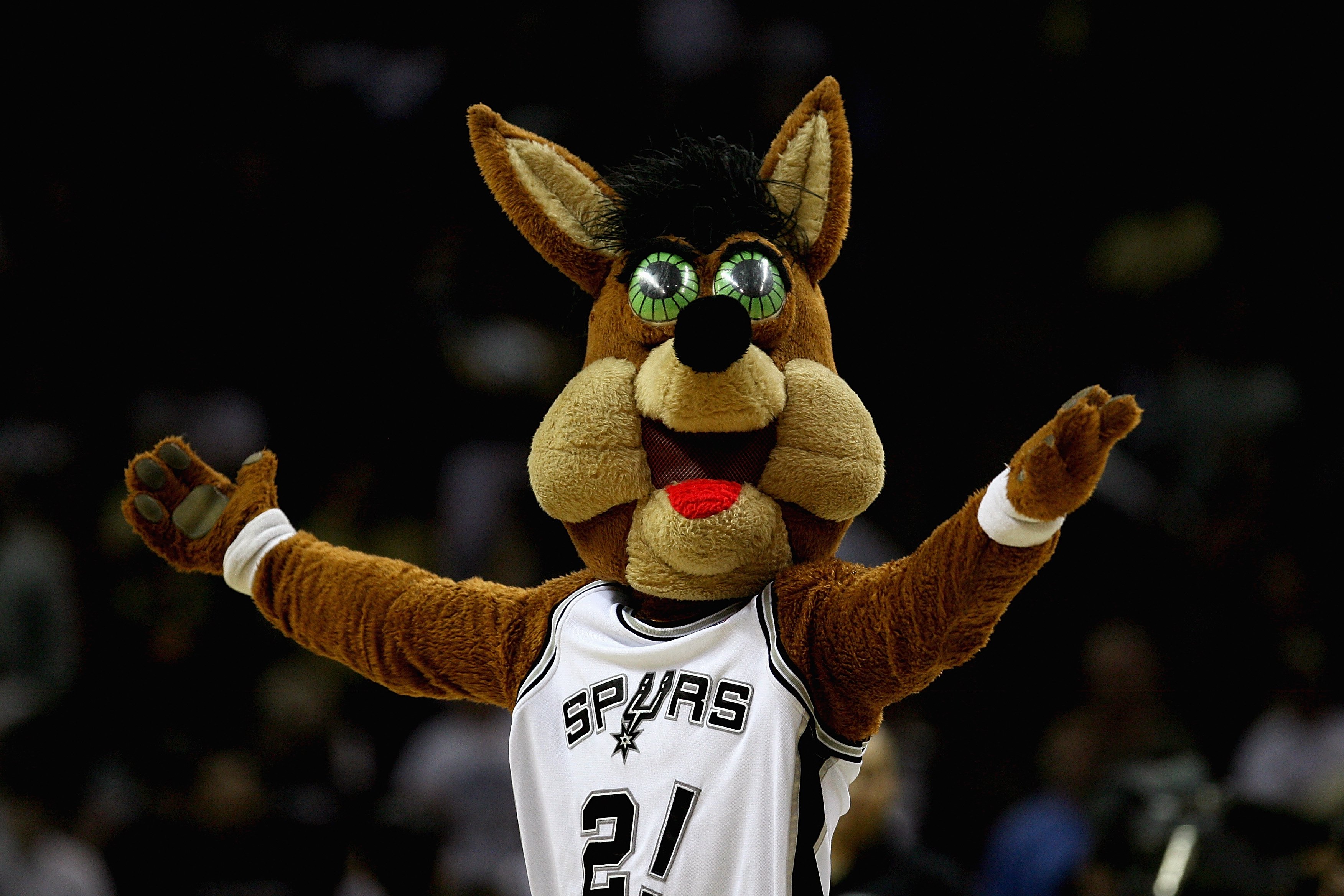 Spurs Coyote - Mascot Coyote of the San Antonio Spurs looks on against